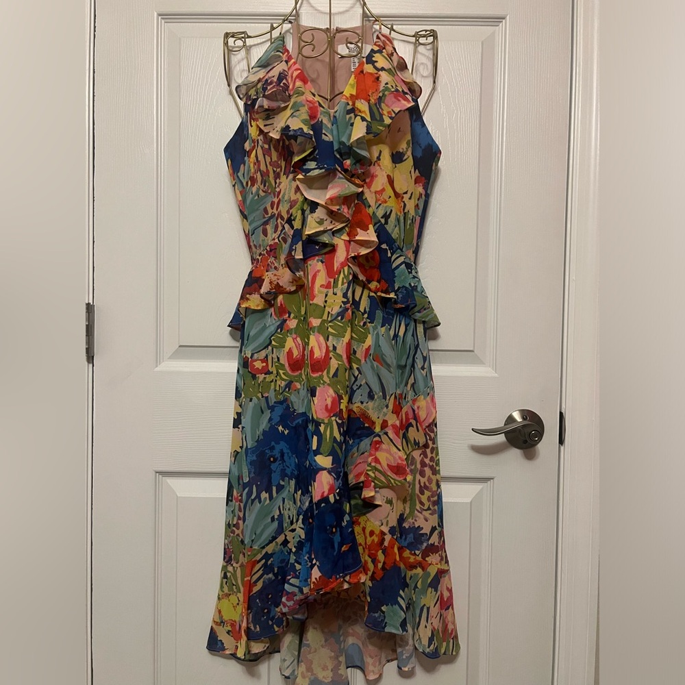 Belle Badgley Mischka Dress